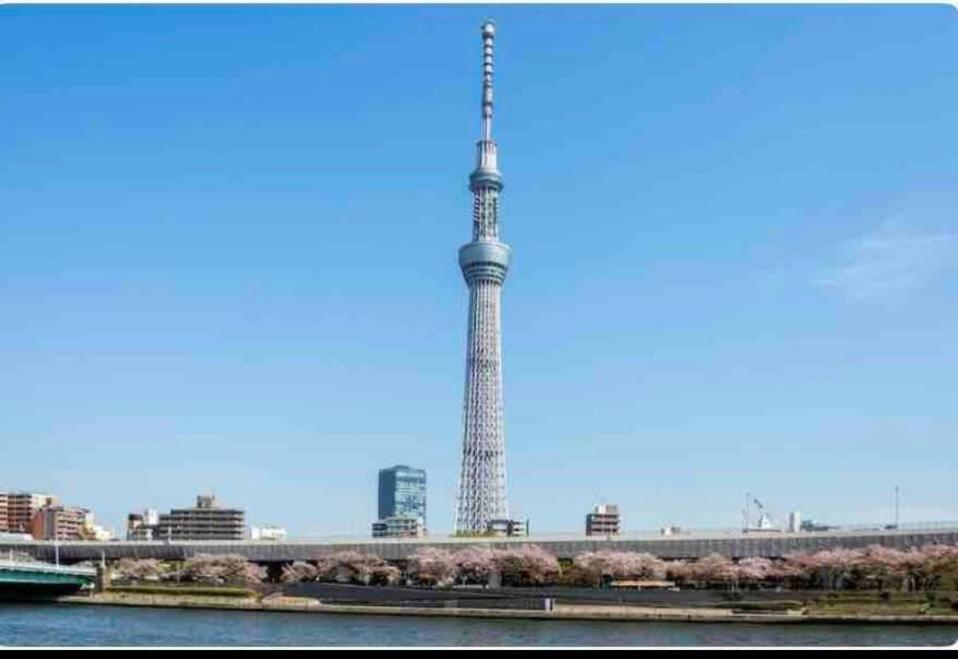 Momo Palace Tokyo Room photo